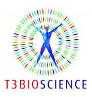 t3 logo